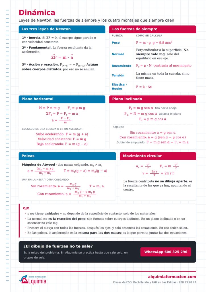 Vista previa: Dinámica